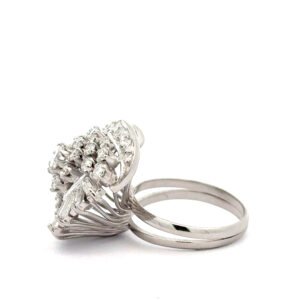Anillo brillo_3