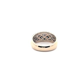 anillo 04